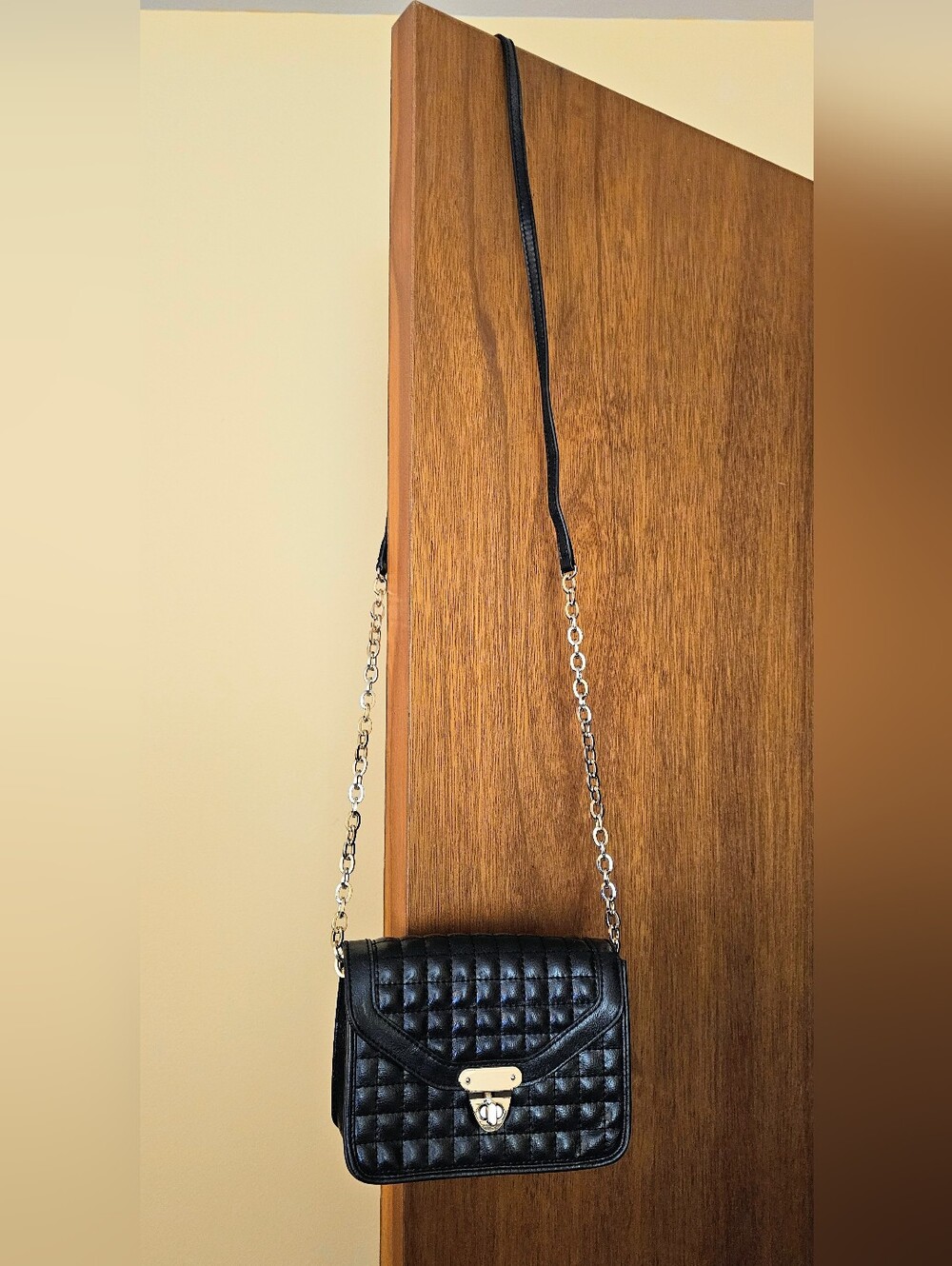 Banana Republic Quilted Crossbody - Picture 5 of 5
